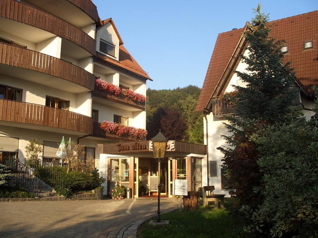 Отель Landidyll Zum Alten Schloss