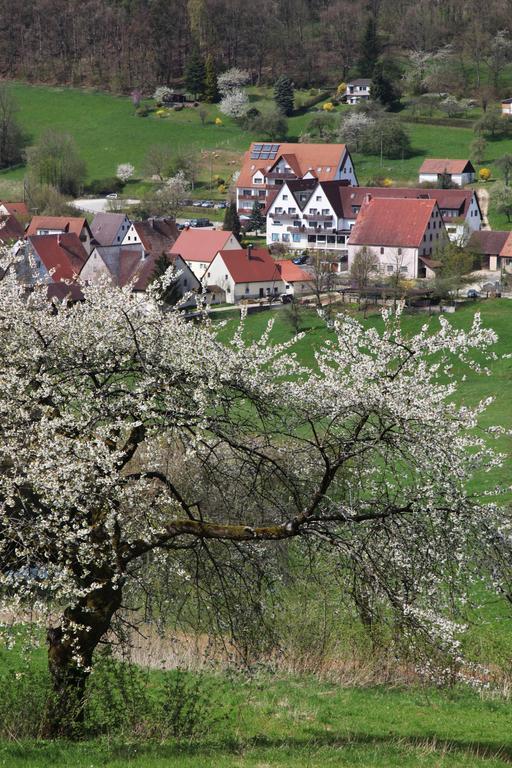 Landidyll Zum Alten Schloss Отель Kirchensittenbach